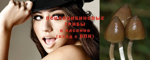 ALPHA PVP Вязники